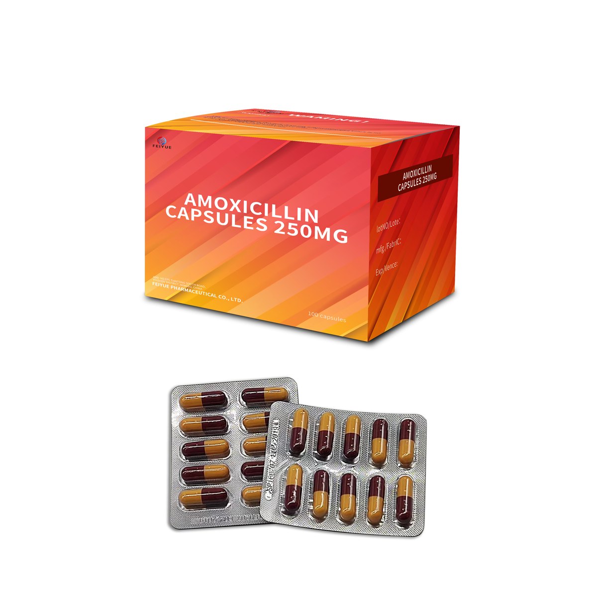Amoxicillin Capsules 125mg / 250mg / 500mg - view 3