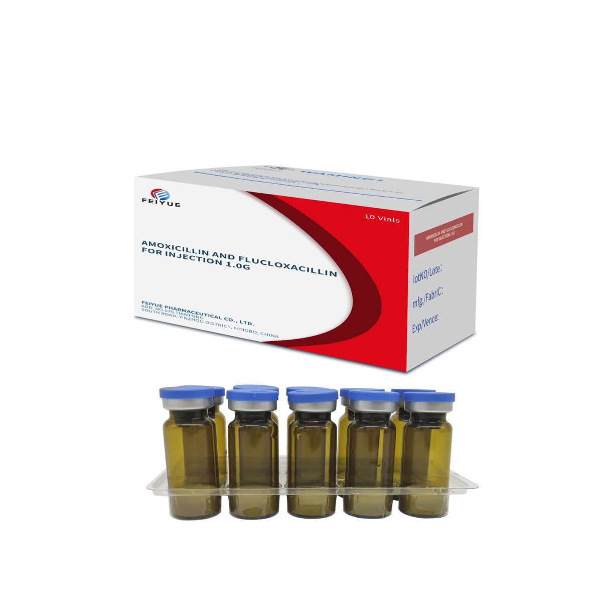 Amoxicillin Sodium and Flucloxacillin Sodium for Injection 0.5g / 1g