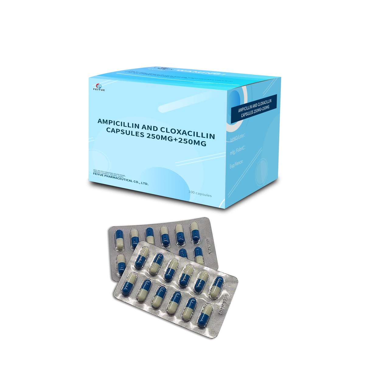 Ampicillin and Cloxacillin Capsules 250mg+250mg
