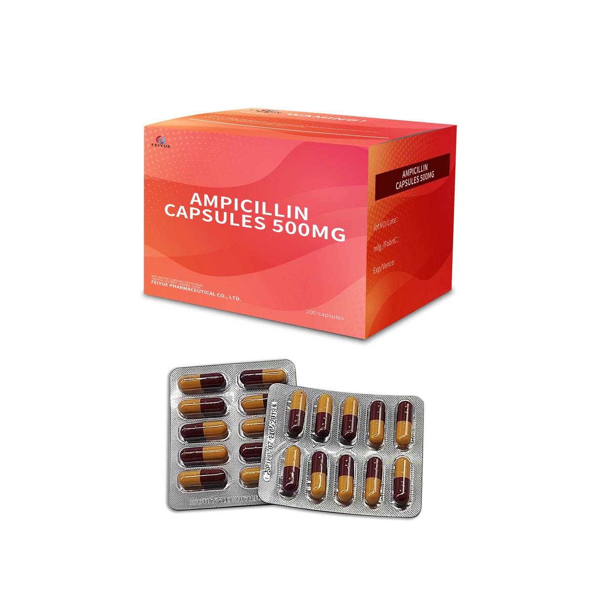 Ampicillin Capsules 250mg / 500mg