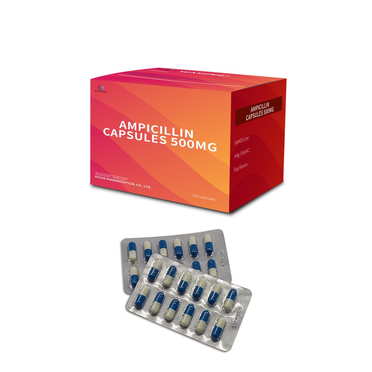 Ampicillin Capsules 250mg / 500mg - view 2
