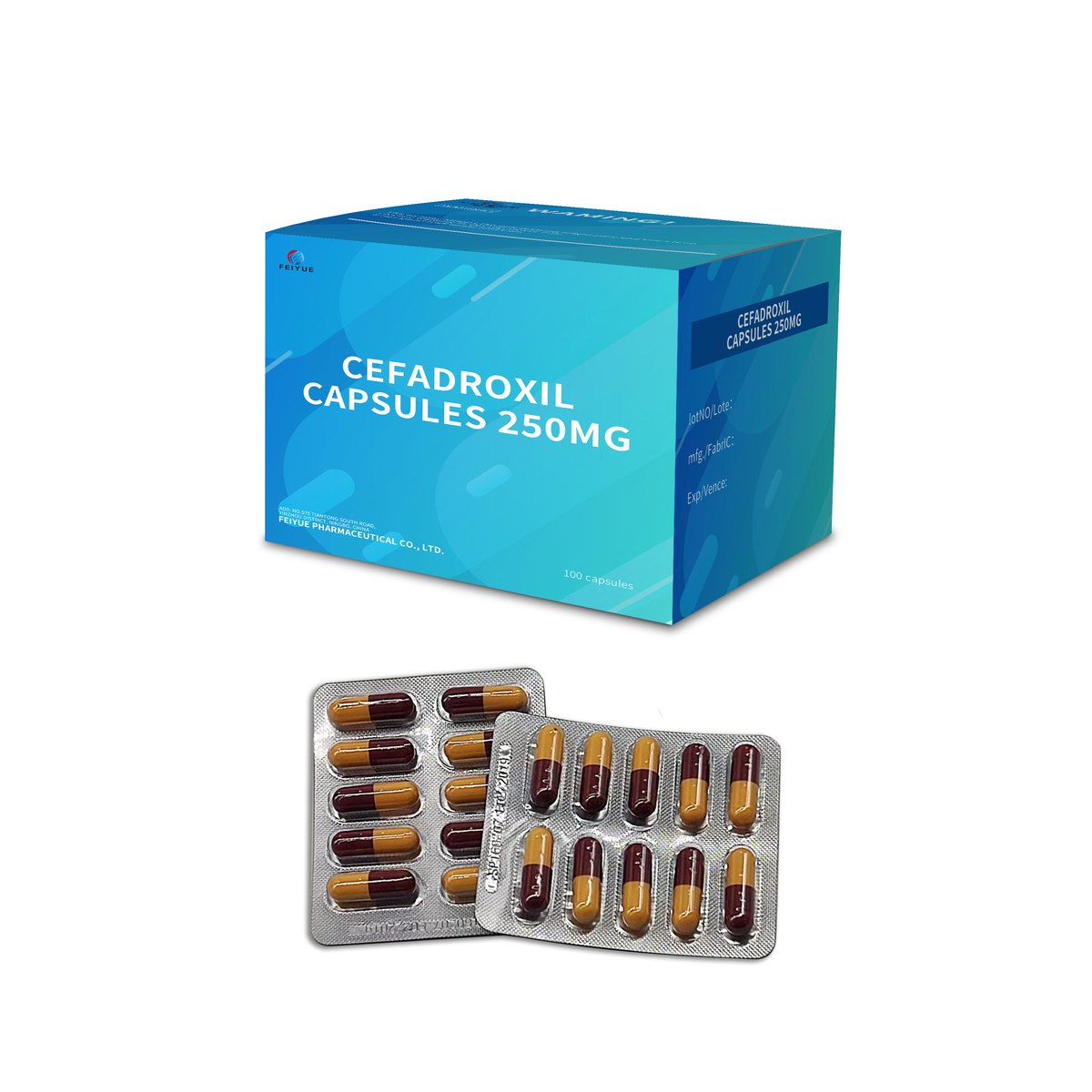 Cefadroxil Capsules 250mg / 500mg
