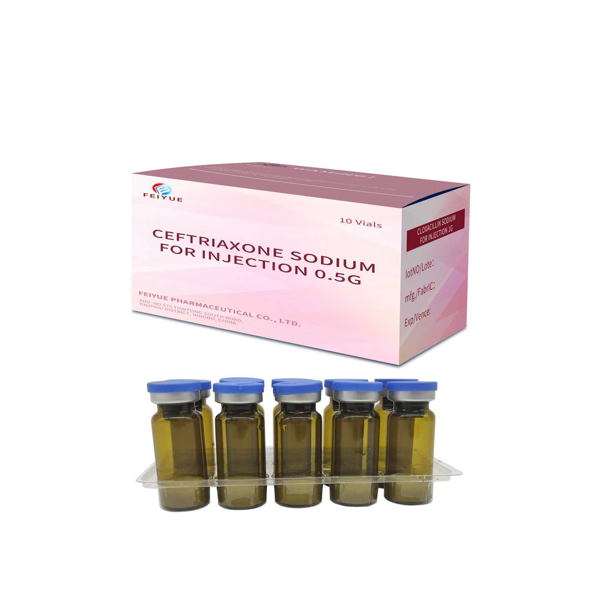Ceftriaxone Sodium for Injection 0.5g / 1g - view 2