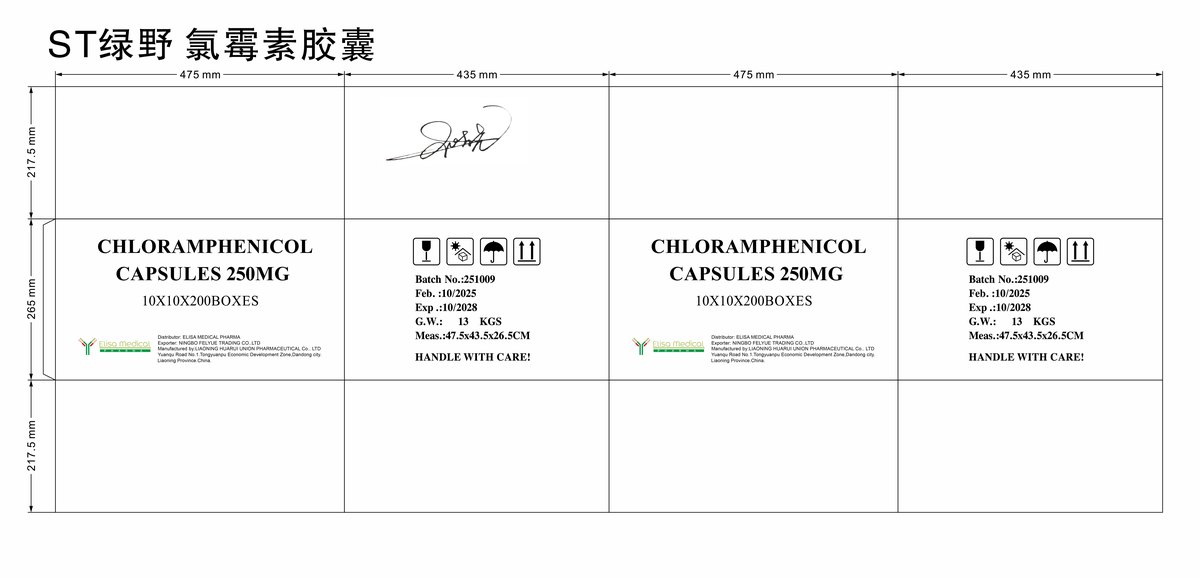 Chloramphenicol Capsules 250mg - view 2