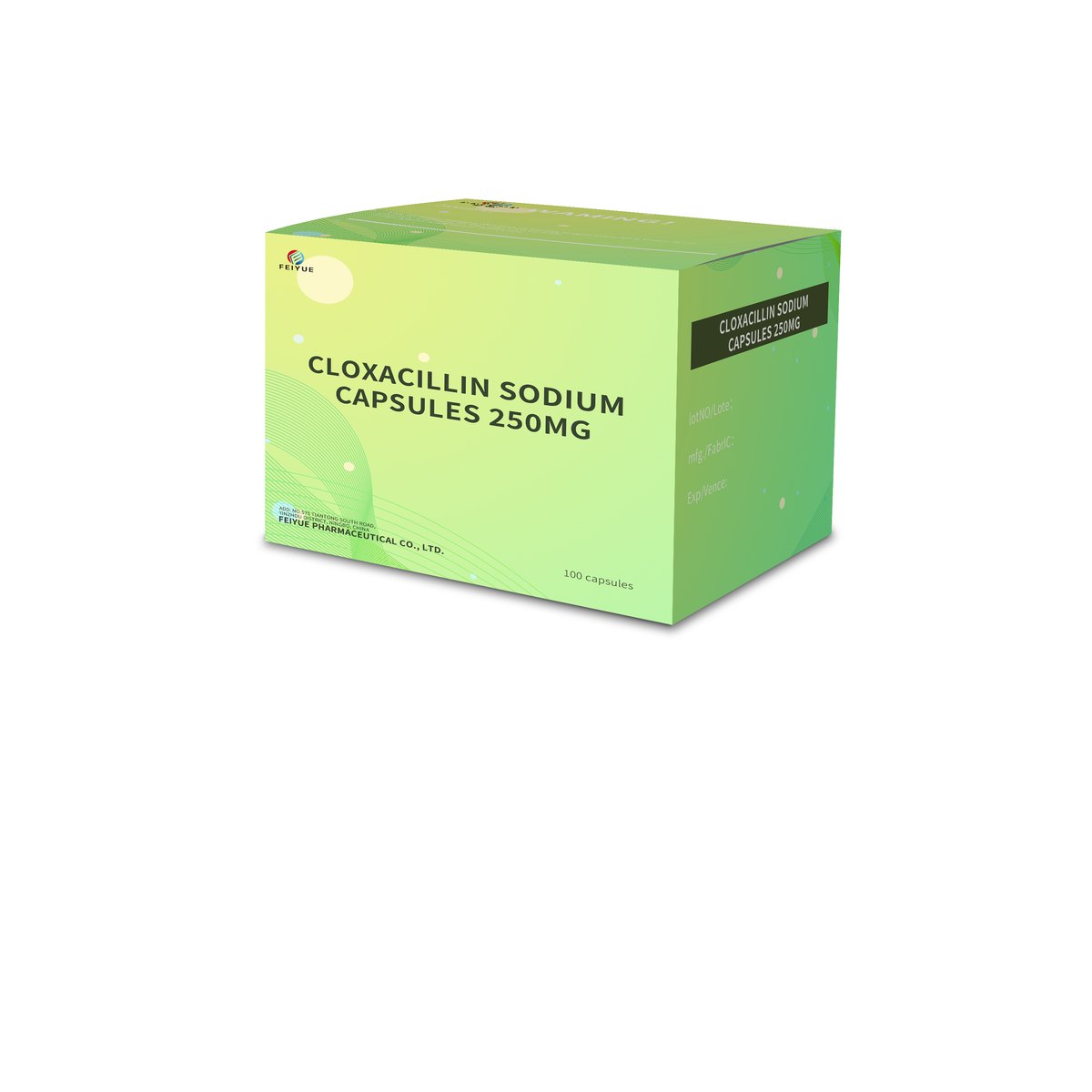 Cloxacillin Sodium Capsules 250mg / 500mg
