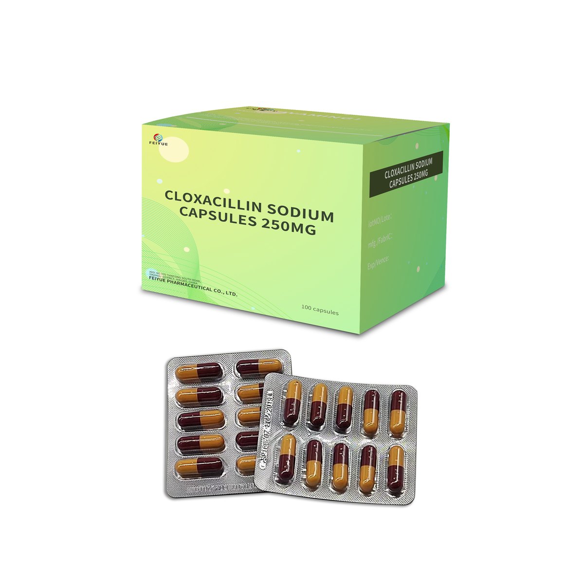 Cloxacillin Sodium Capsules 250mg / 500mg - view 1