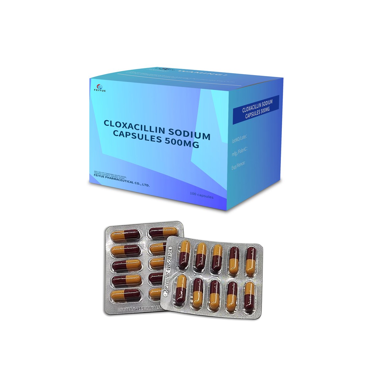 Cloxacillin Sodium Capsules 250mg / 500mg - view 2