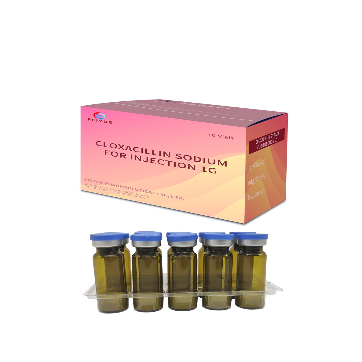 Cloxacillin Sodium for Injection 0.25g / 0.5g / 1g - view 4