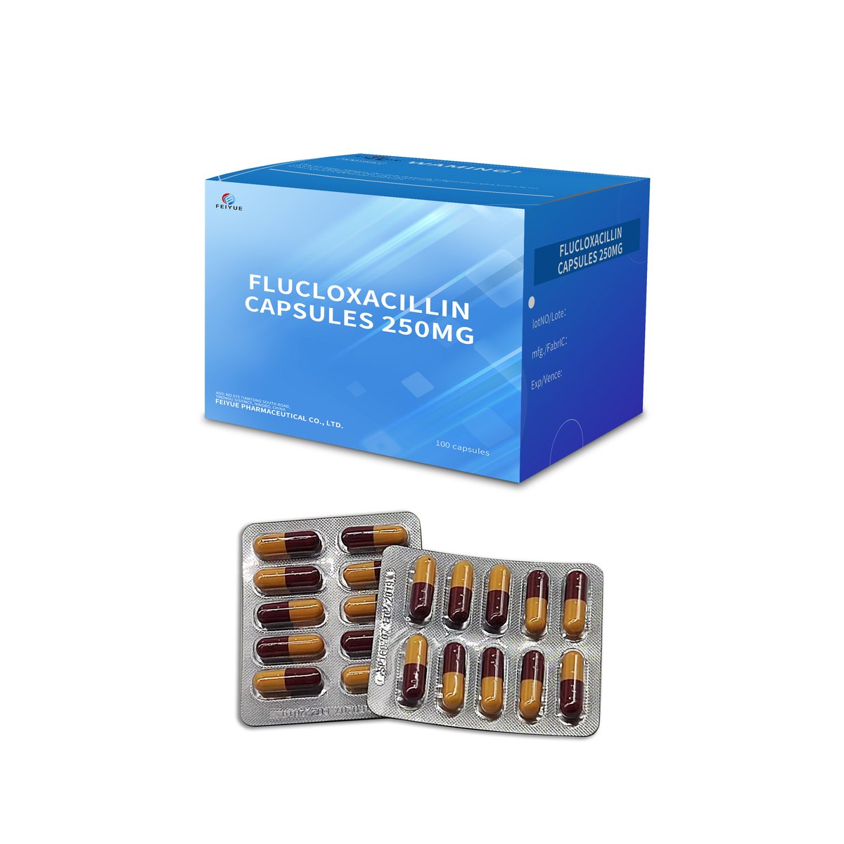 Flucloxacillin Capsules 250mg / 500mg - view 1
