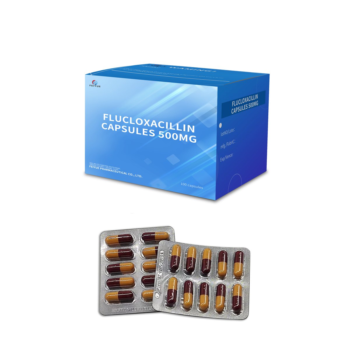 Flucloxacillin Capsules 250mg / 500mg - view 2