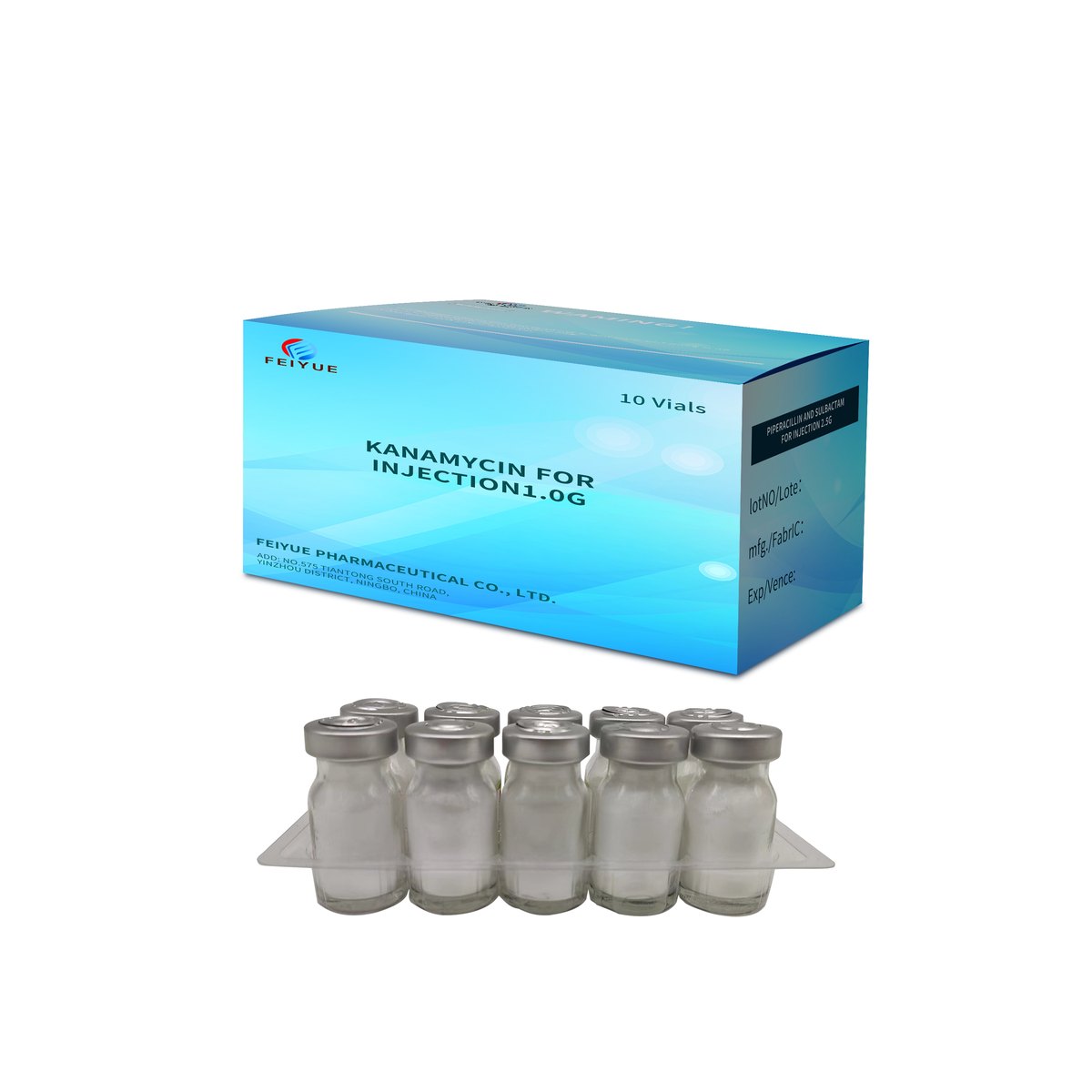 Kanamycin for Injection 1g