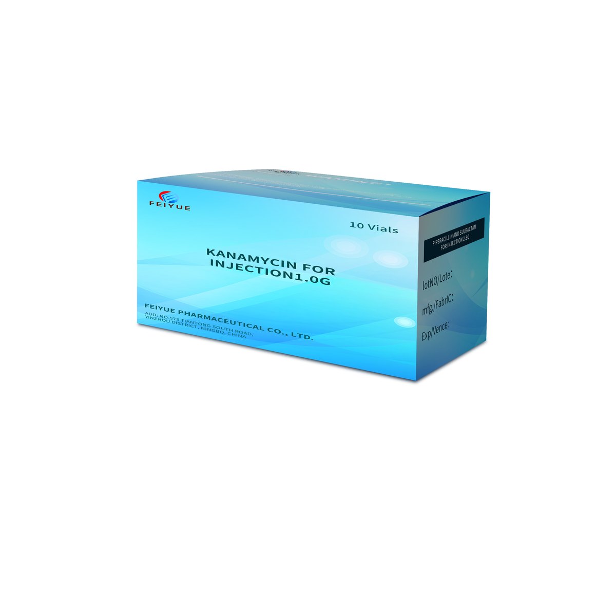 Kanamycin for Injection 1g - view 1
