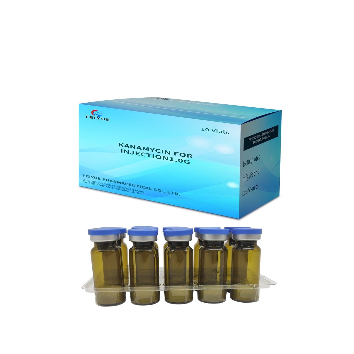 Kanamycin for Injection 1g - view 3