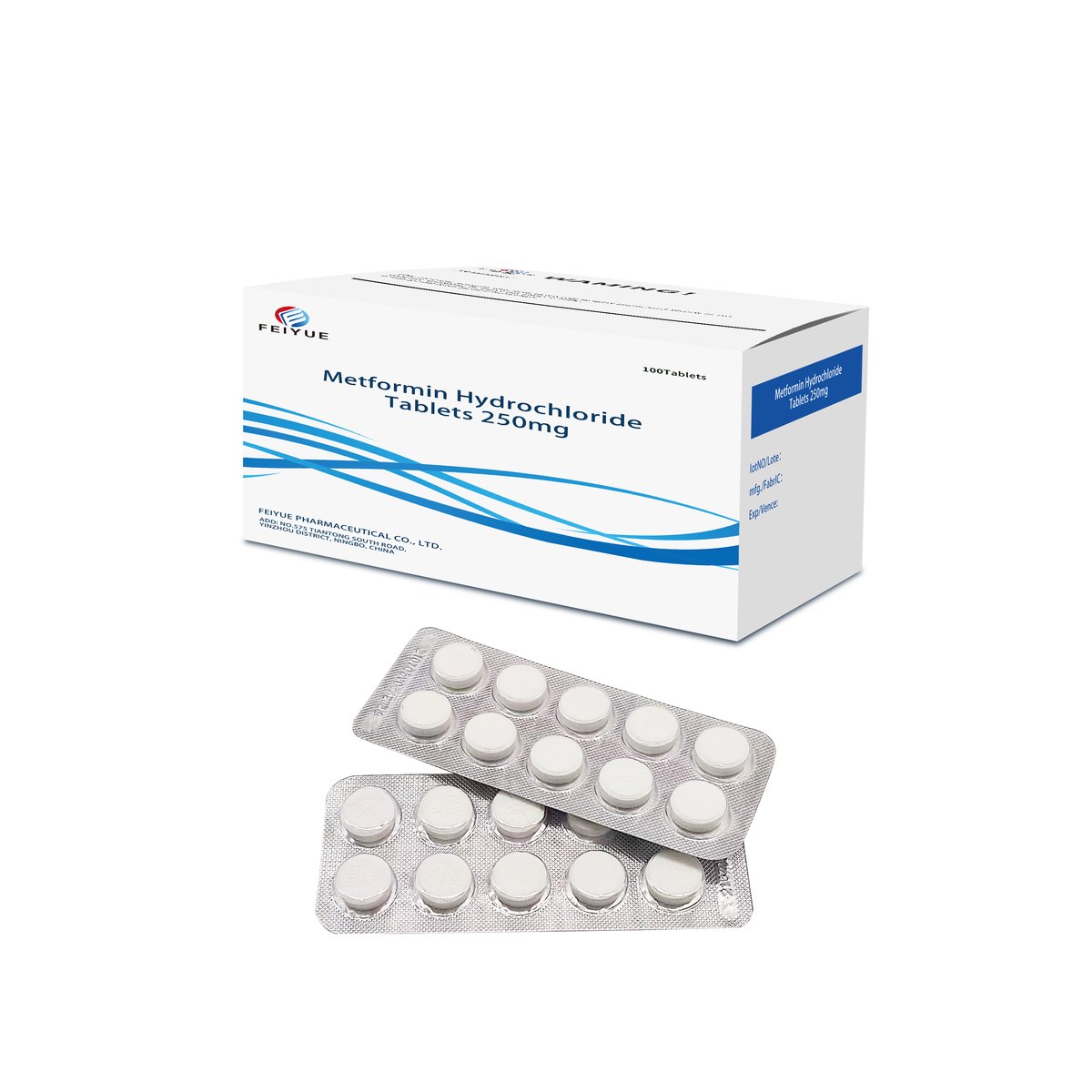 Metformin Hydrochloride Tablets 250mg / 500mg