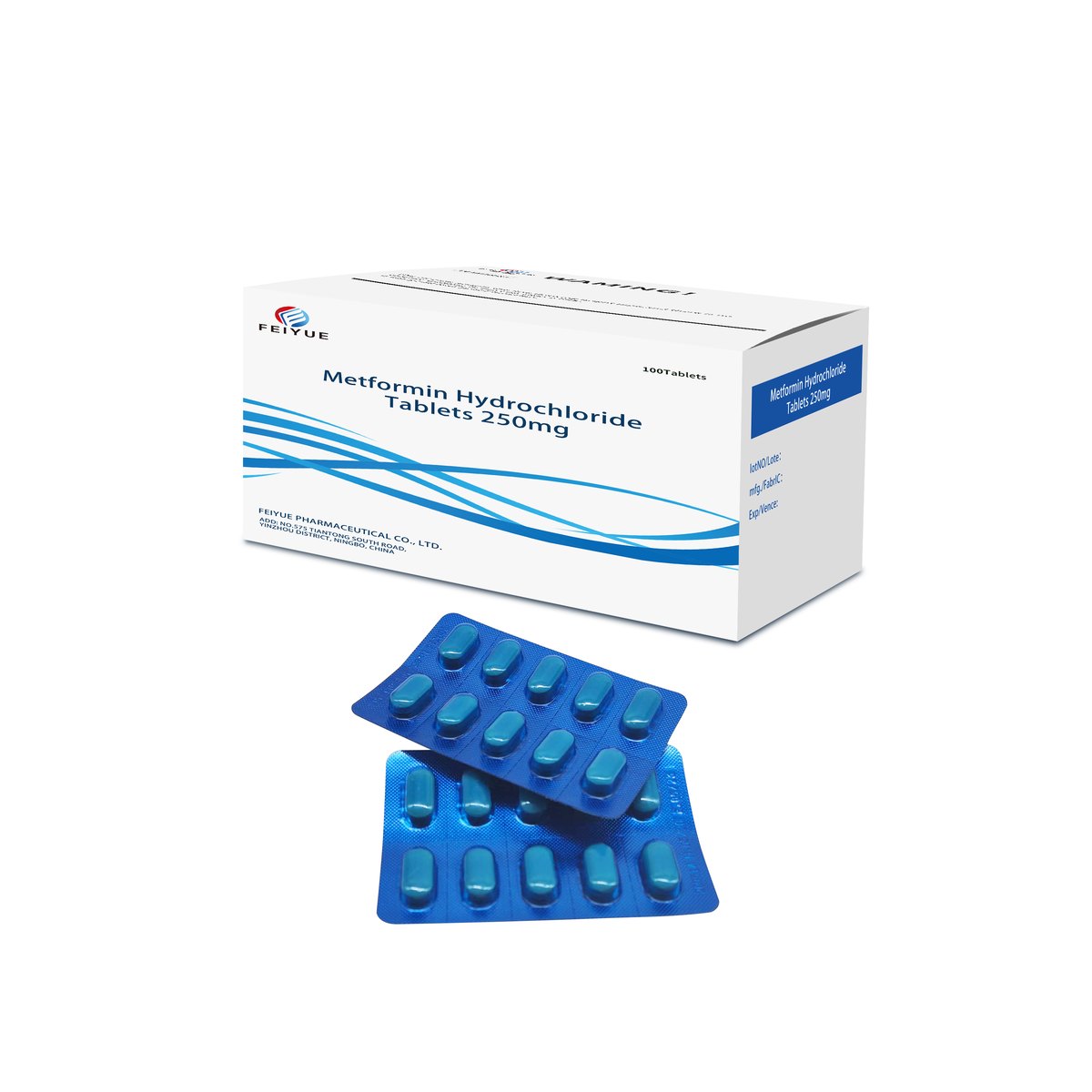 Metformin Hydrochloride Tablets 250mg / 500mg - view 1